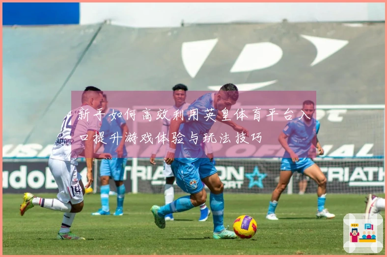 新手如何高效利用英皇体育平台入口提升游戏体验与玩法技巧